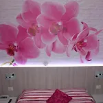 Paradiso Hotel