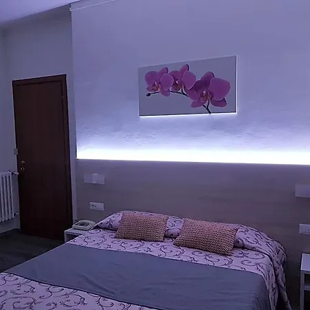Hotell Paradiso 3*